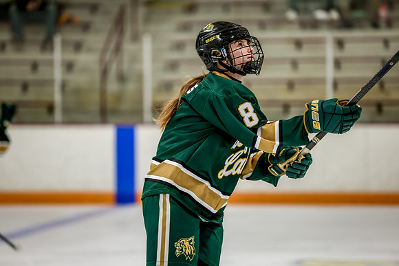Chisago vs Forest Lake Varsity Hockey 7