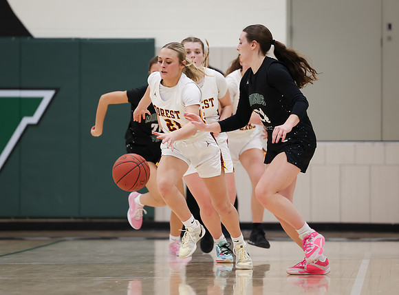 Mounds View vs Forest Lake Varsity Basketball 182