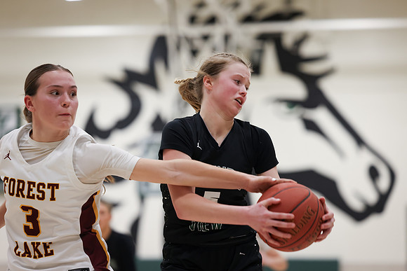 Mounds View vs Forest Lake Varsity Basketball 238