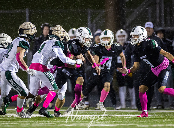 Mounds View vs Park Varsity Football 154