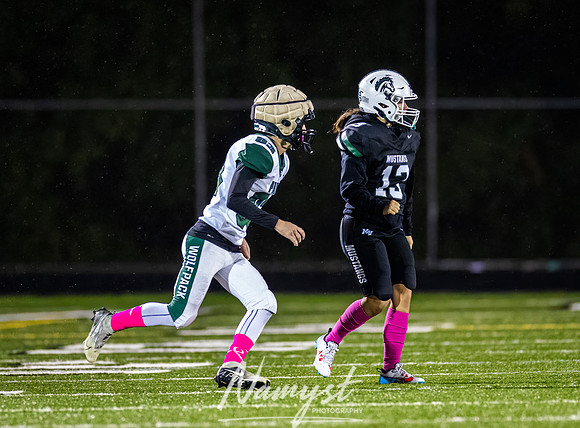 Mounds View vs Park Varsity Football 287