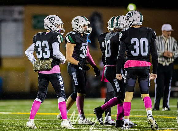 Mounds View vs Park Varsity Football 299