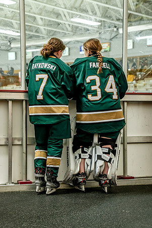 Chisago vs Forest Lake Varsity Hockey 1
