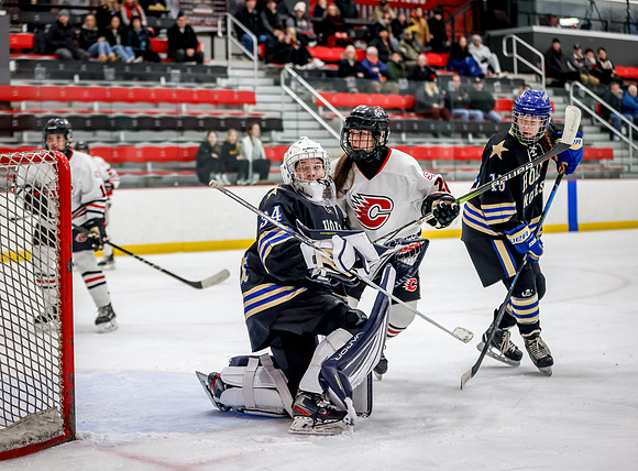 Centennial vs Holy Angels JV Hockey 119