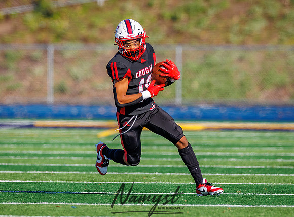 Centennial vs Rosemount JV Football 208