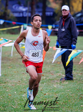Section 7AAA Cross Country 14