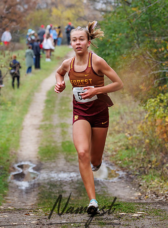 Section 7AAA Cross Country 50