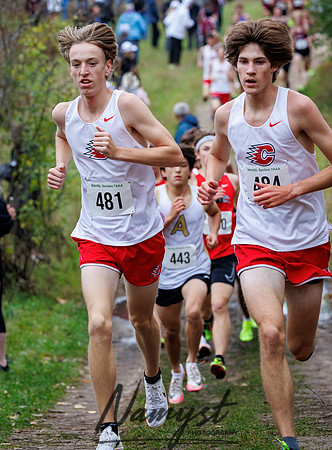 Section 7AAA Cross Country 8