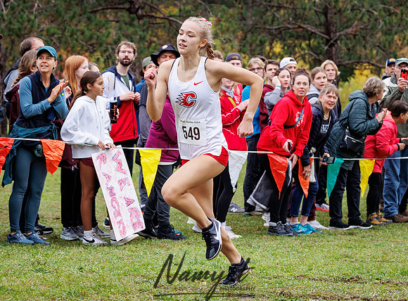 Section 7AAA Cross Country 80