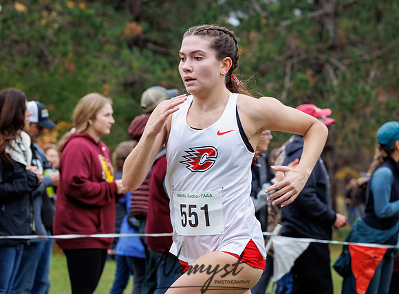 Section 7AAA Cross Country 89