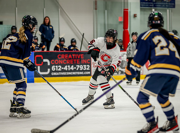 Centennial vs Rosemount JV Hockey 50