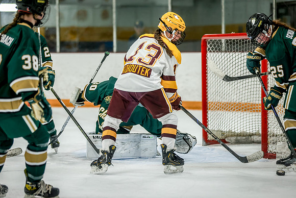 Chisago vs Forest Lake JV Hockey 56