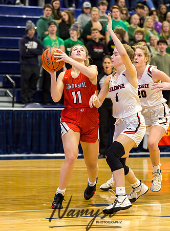 Centennial vs Shakopee Girls Basketball - State Tournament 057
