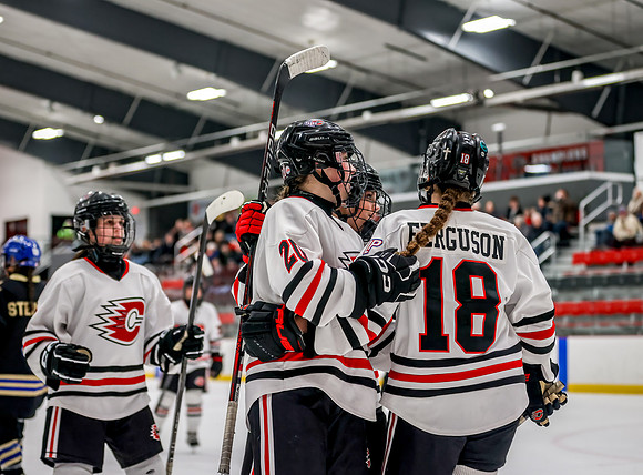 Centennial vs Holy Angels JV Hockey 91