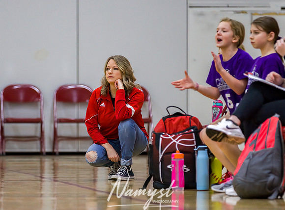Centennial Basketball Association 100