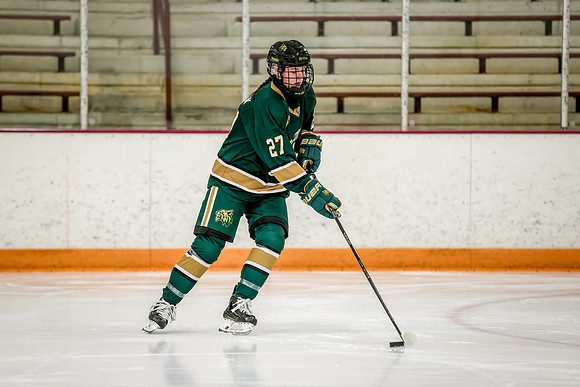 Chisago vs Forest Lake JV Hockey 15