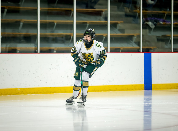 Chisago vs Rogers Varsity Hockey 328