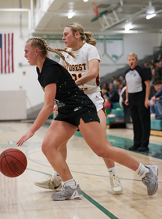Mounds View vs Forest Lake Varsity Basketball 231