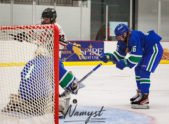 Centennial vs Blake Varsity Hockey 216