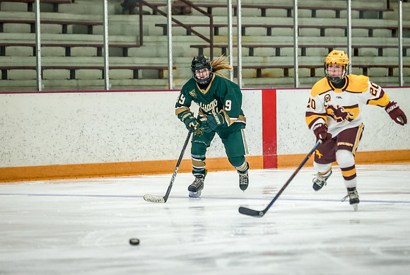 Chisago vs Forest Lake JV Hockey 201
