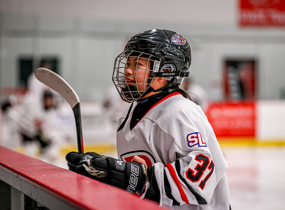 Centennial vs Holy Angels JV Hockey 8