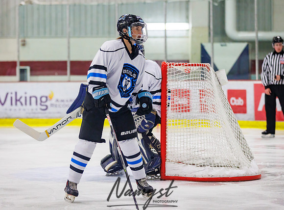 Minnesota Ice Cougars vs Jr. Queens 44