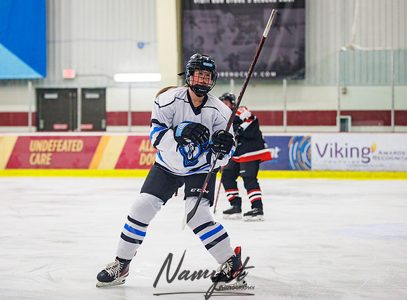 Minnesota Ice Cougars vs Jr. Queens 49