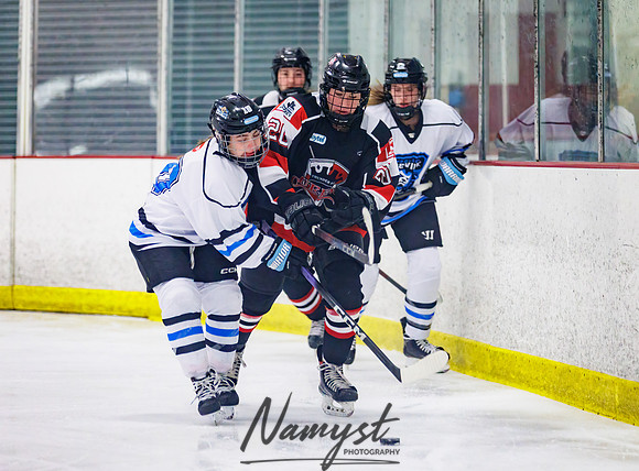 Minnesota Ice Cougars vs Jr. Queens 53