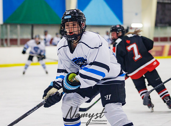 Minnesota Ice Cougars vs Jr. Queens 58