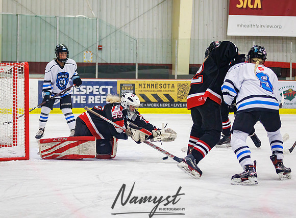 Minnesota Ice Cougars vs Jr. Queens 65