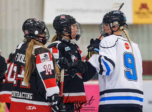 Minnesota Ice Cougars vs Jr. Queens 68