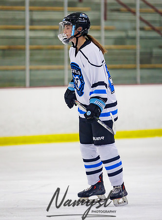 Minnesota Ice Cougars vs Jr. Queens 83