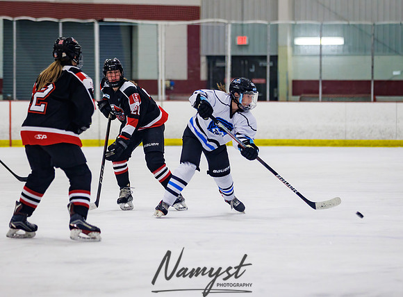 Minnesota Ice Cougars vs Jr. Queens 84
