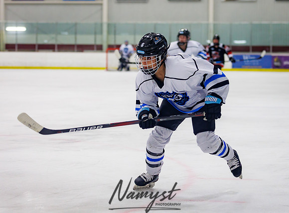Minnesota Ice Cougars vs Jr. Queens 86