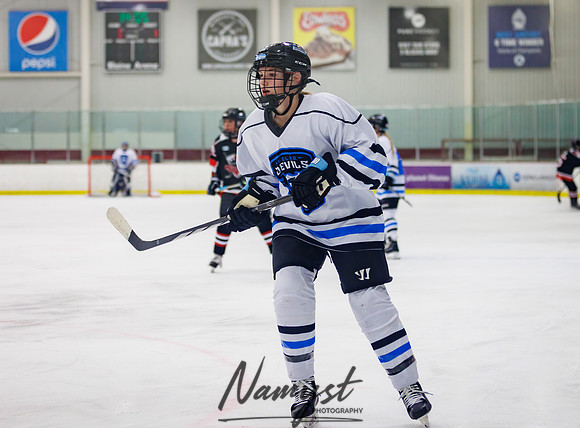 Minnesota Ice Cougars vs Jr. Queens 88