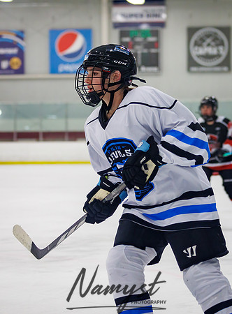 Minnesota Ice Cougars vs Jr. Queens 90