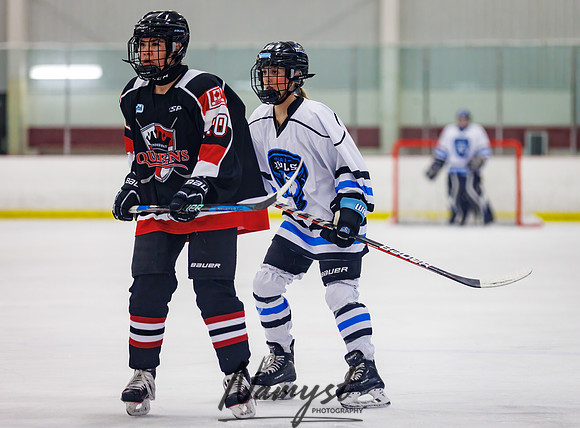 Minnesota Ice Cougars vs Jr. Queens 94