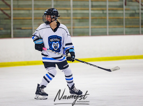 Minnesota Ice Cougars vs Jr. Queens 95