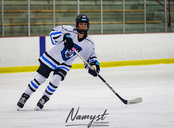 Minnesota Ice Cougars vs Jr. Queens 99