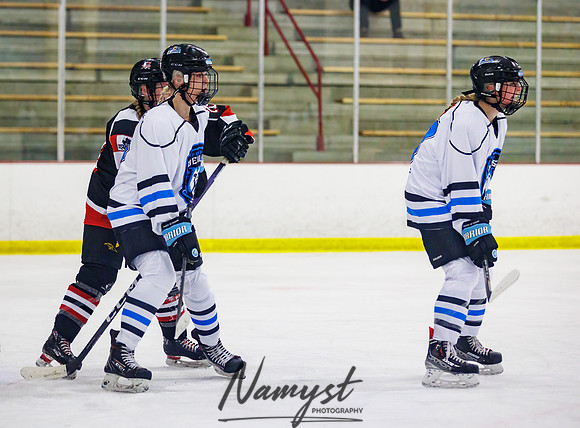 Minnesota Ice Cougars vs Jr. Queens 116