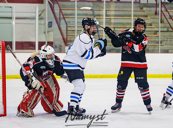 Minnesota Ice Cougars vs Jr. Queens 119