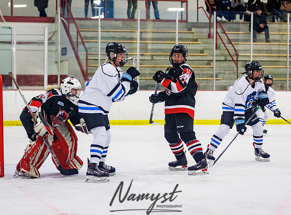 Minnesota Ice Cougars vs Jr. Queens 120