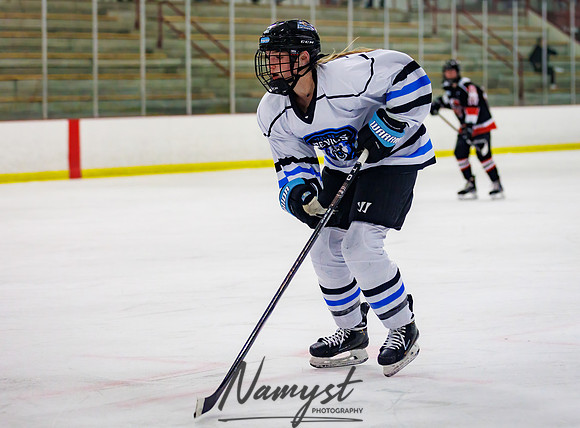 Minnesota Ice Cougars vs Jr. Queens 160