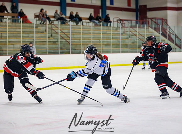 Minnesota Ice Cougars vs Jr. Queens 170