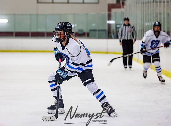 Minnesota Ice Cougars vs Jr. Queens 202