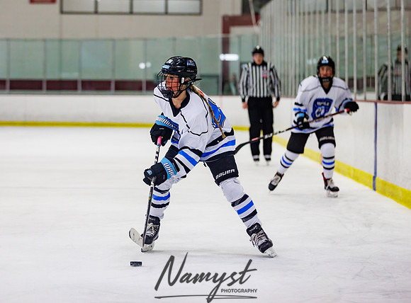 Minnesota Ice Cougars vs Jr. Queens 201