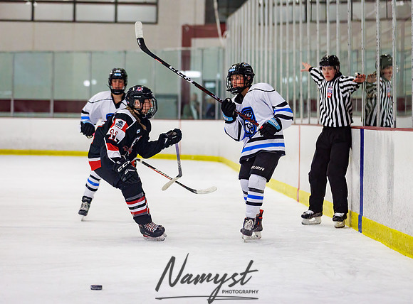 Minnesota Ice Cougars vs Jr. Queens 204