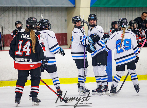 Minnesota Ice Cougars vs Jr. Queens 206