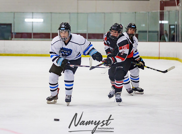 Minnesota Ice Cougars vs Jr. Queens 217