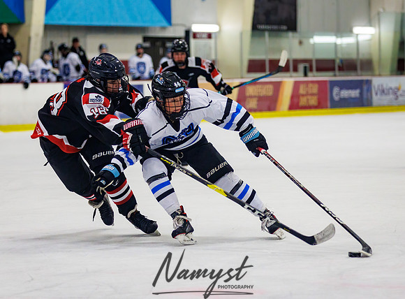 Minnesota Ice Cougars vs Jr. Queens 225